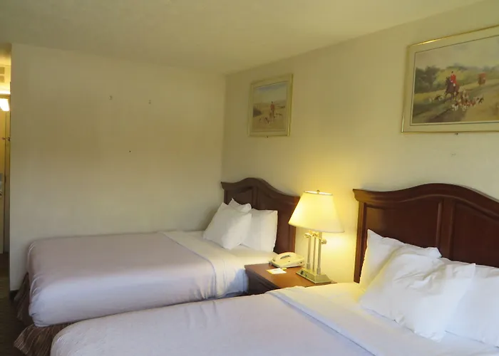 Days By Wyndham Airport 3*